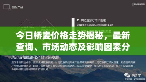 张冠李戴 第2页