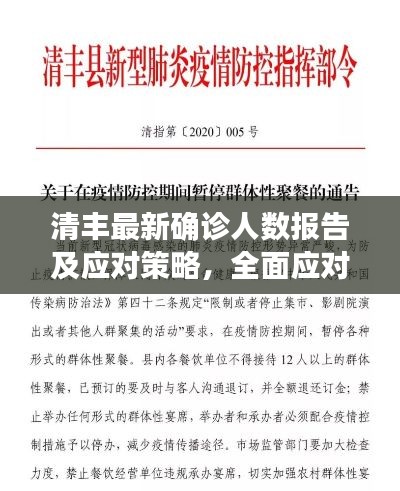 清丰最新确诊人数报告及应对策略，全面应对，守护健康防线