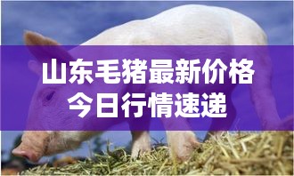 悬梁刺股 第2页