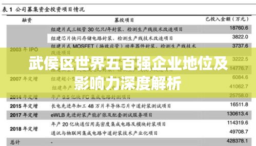 武侯区世界五百强企业地位及影响力深度解析