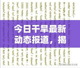 今日干旱最新动态报道，揭秘干旱现状与应对措施