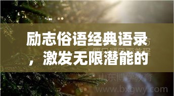 鸿飞雪爪 第2页