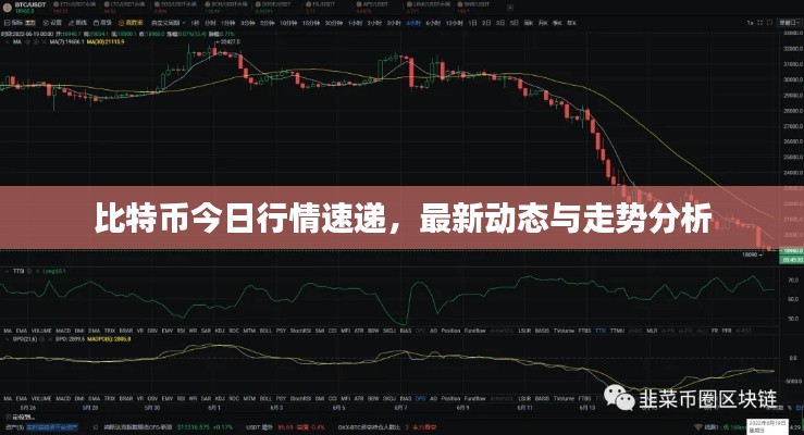 比特币今日行情速递，最新动态与走势分析