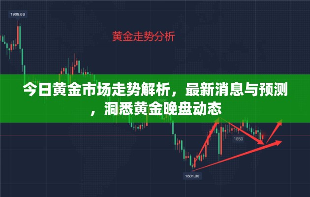 今日黄金市场走势解析，最新消息与预测，洞悉黄金晚盘动态