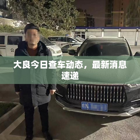 大良今日查车动态，最新消息速递