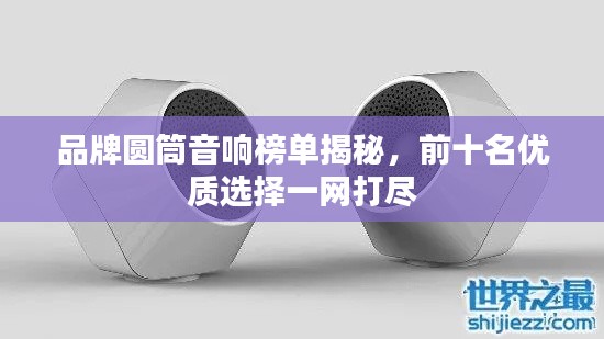 笔走龙蛇 第2页