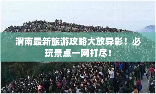 纲挈目张 第2页