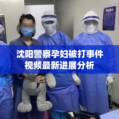 沈阳警察孕妇被打事件视频最新进展分析