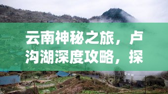 开张圣听 第2页