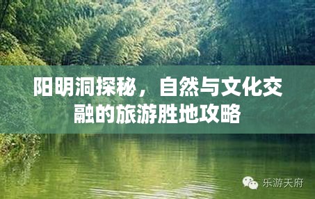 阳明洞探秘，自然与文化交融的旅游胜地攻略