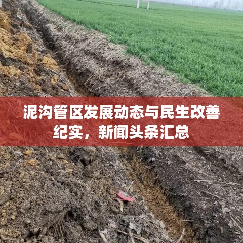 鸟哭猿啼 第2页
