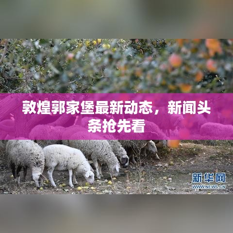 打张鸡儿 第2页