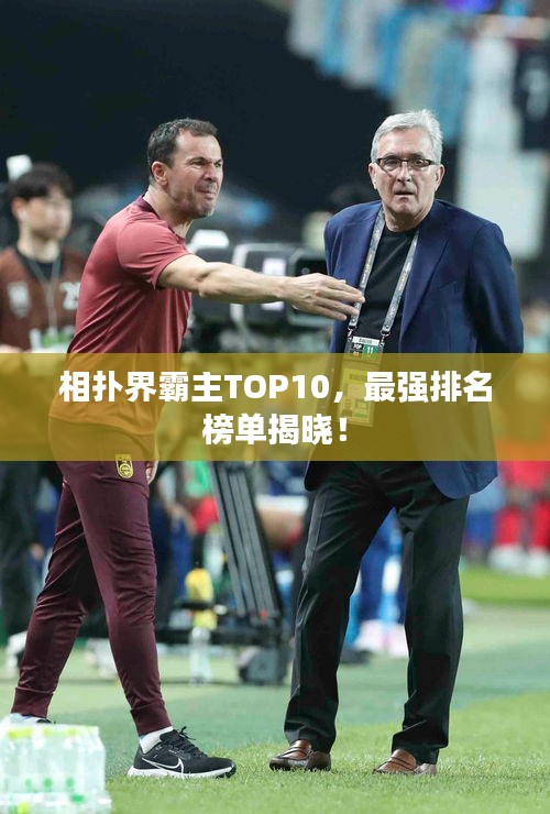 相扑界霸主TOP10，最强排名榜单揭晓！