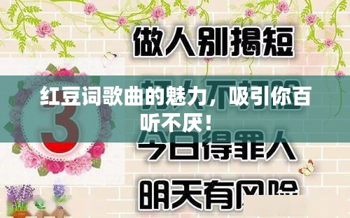 寥若晨星 第2页