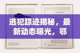 富贵有余 第2页