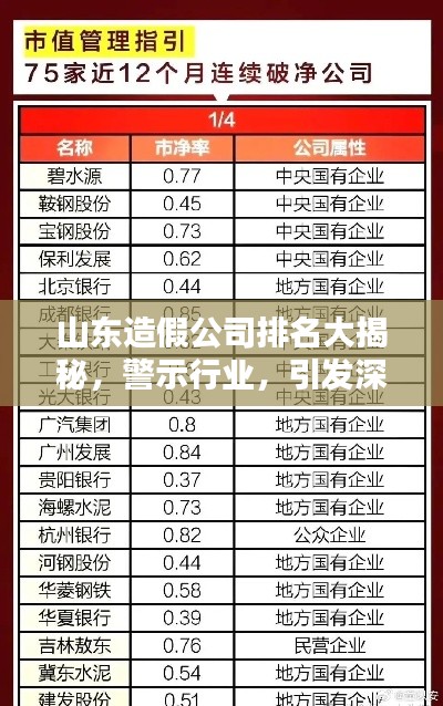 山东造假公司排名大揭秘，警示行业，引发深思