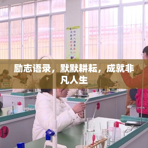 百鸟齐鸣 第2页