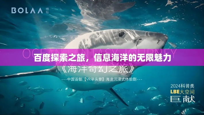 百度探索之旅，信息海洋的无限魅力
