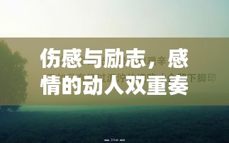 伤感与励志，感情的动人双重奏