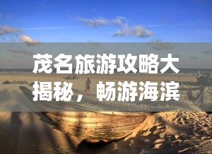抛砖引玉 第2页