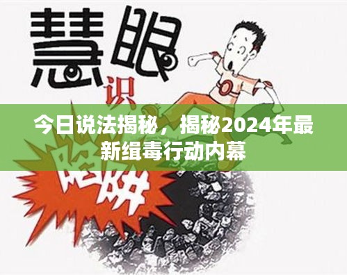 今日说法揭秘，揭秘2024年最新缉毒行动内幕