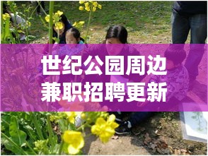 世纪公园周边兼职招聘更新，探索最新机会，轻松把握兼职动态