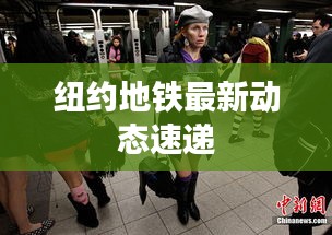 择善而从 第2页