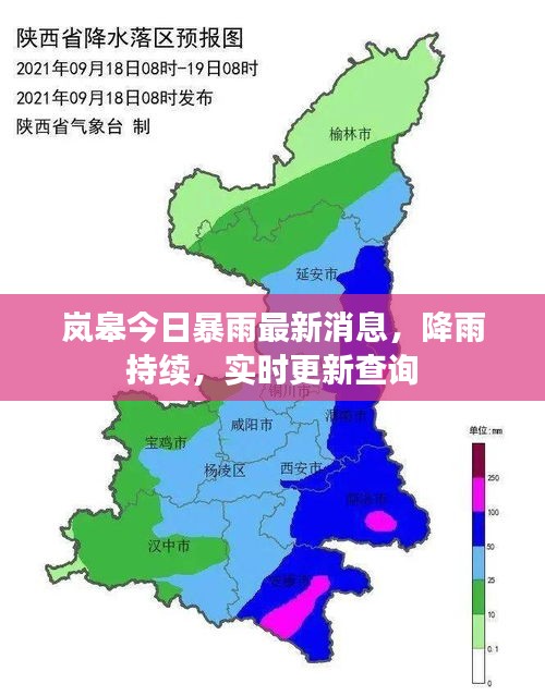 岚皋今日暴雨最新消息，降雨持续，实时更新查询