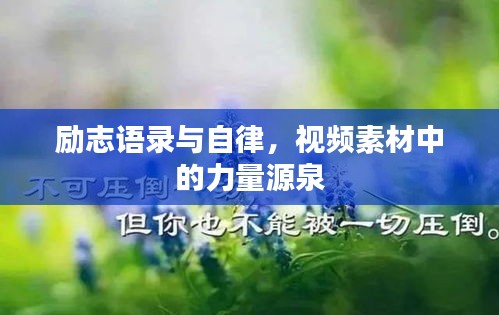 励志语录与自律，视频素材中的力量源泉