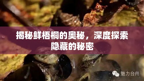 明目张胆 第2页