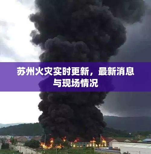 苏州火灾实时更新，最新消息与现场情况