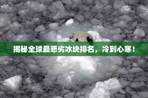 揭秘全球最恶劣冰块排名，冷到心寒！