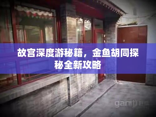 故宫深度游秘籍，金鱼胡同探秘全新攻略