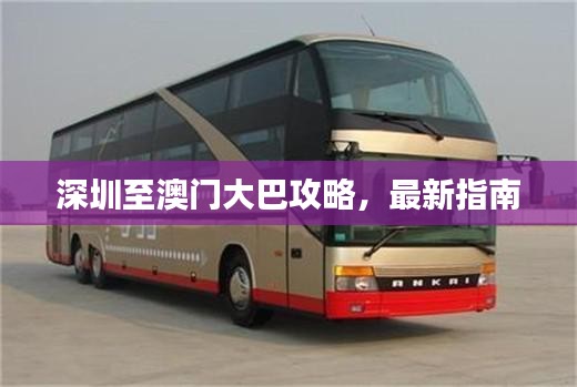 眼张失道 第2页