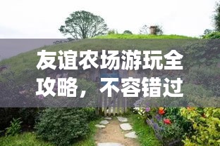 友谊农场游玩全攻略，不容错过的精彩体验！