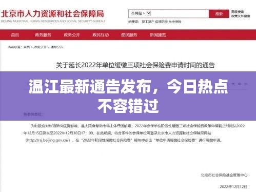 芒屩布衣 第2页
