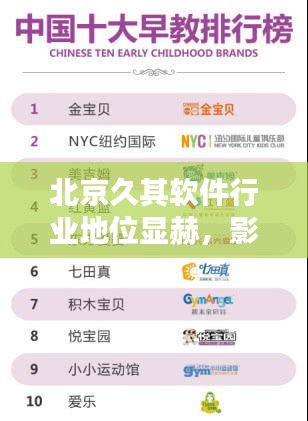 北京久其软件行业地位显赫，影响力不容小觑，揭秘其排名及贡献