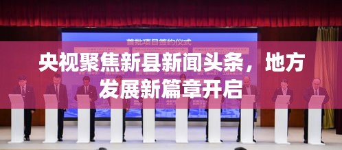 杳无音信 第3页