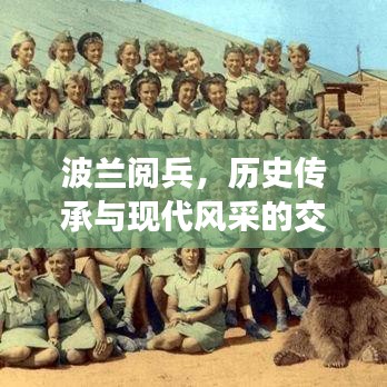 波兰阅兵，历史传承与现代风采的交融展现
