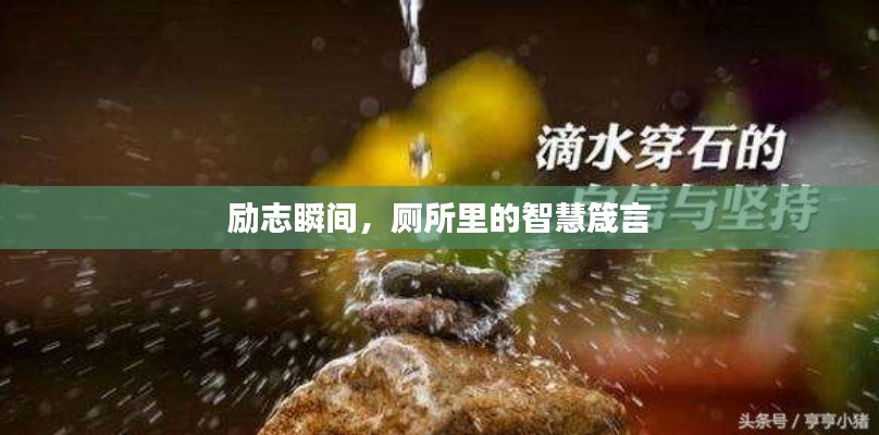 励志瞬间，厕所里的智慧箴言