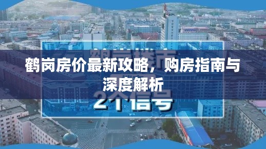 丰容盛鬋 第2页