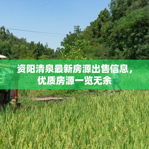 洵属可贵 第2页