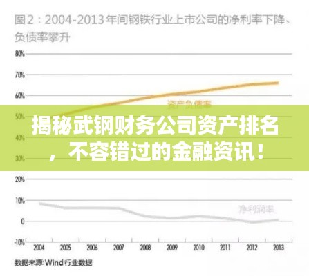揭秘武钢财务公司资产排名，不容错过的金融资讯！