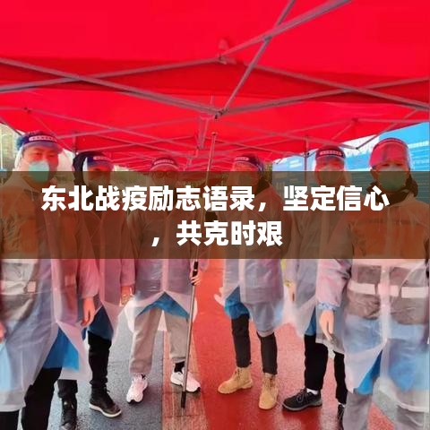 齿白唇红 第2页