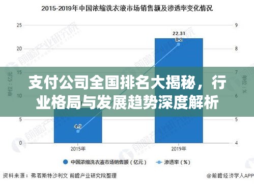 支付公司全国排名大揭秘，行业格局与发展趋势深度解析