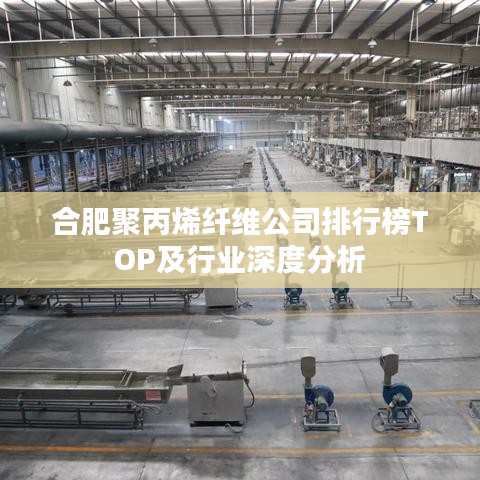 合肥聚丙烯纤维公司排行榜TOP及行业深度分析