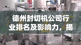 德州封切机公司行业排名及影响力，揭秘区域领先企业榜单