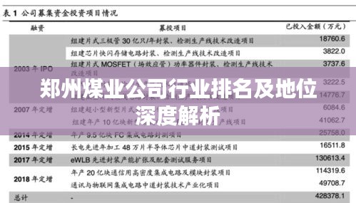 郑州煤业公司行业排名及地位深度解析