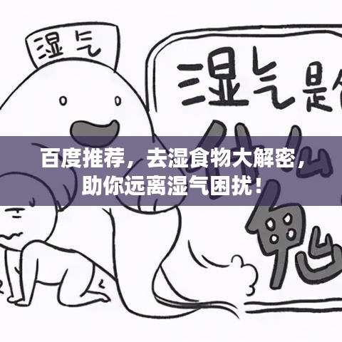 百度推荐，去湿食物大解密，助你远离湿气困扰！