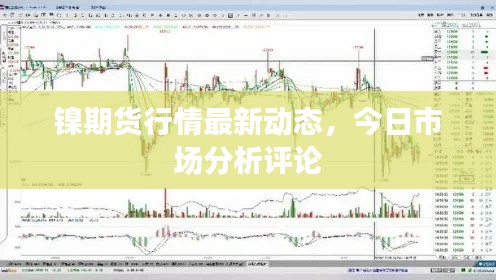 镍期货行情最新动态，今日市场分析评论